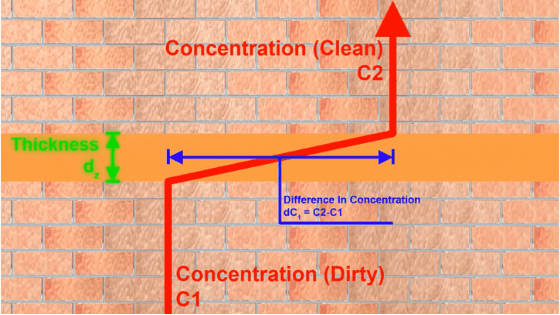 Factors affecting membrane thickness