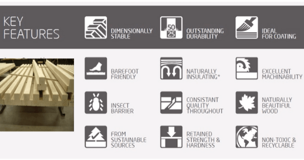 The key features of acetylated wood