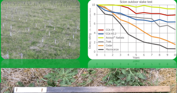 graph of the scion outdoor stake test